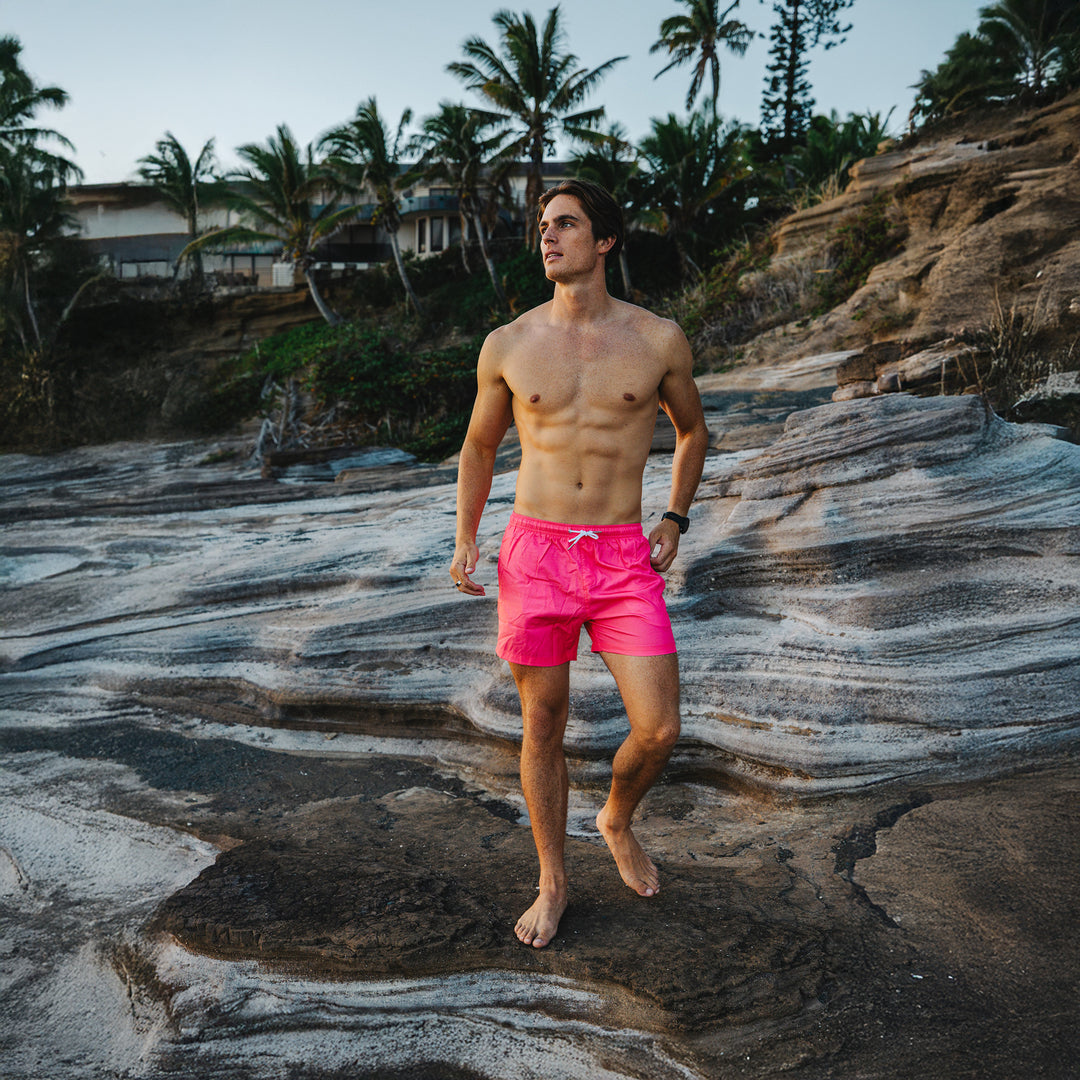 Men's Switch Flamingo Swim Shorts