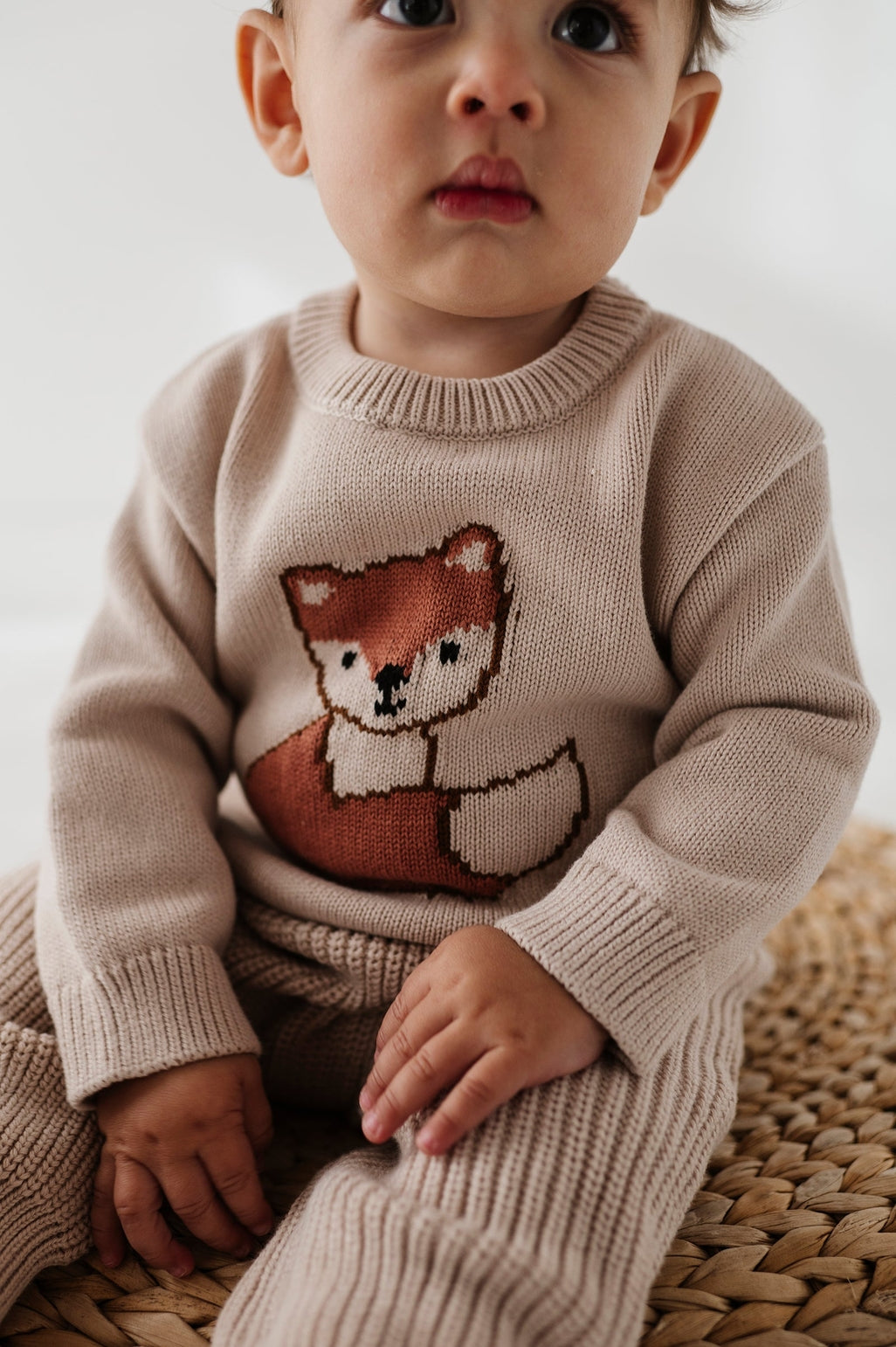 Knit Sweater - Fox