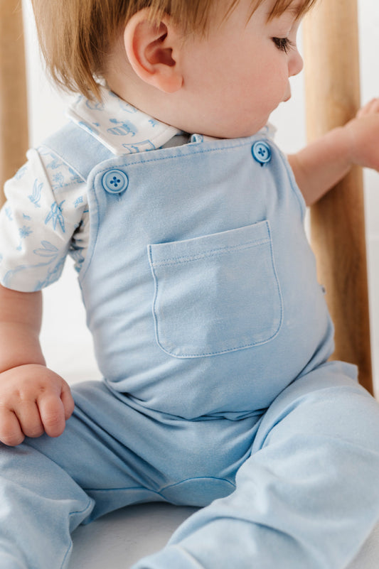 Blue Bunny Toile Distressed Overall Set